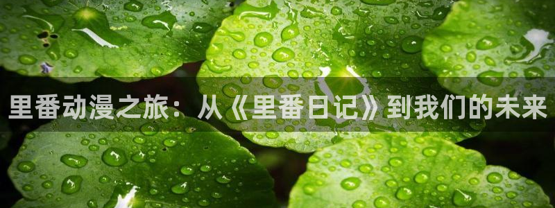 在线动画动漫下载age动漫