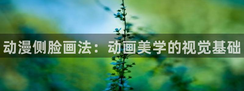 韩国漫画平台kakaopage