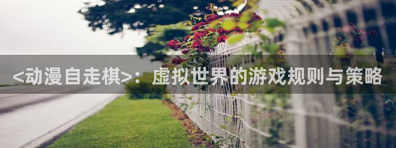 age动漫正版网