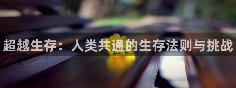 age动漫樱花