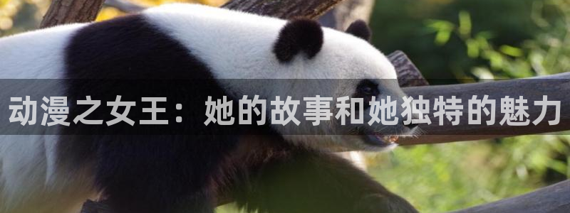 age动漫下载入口