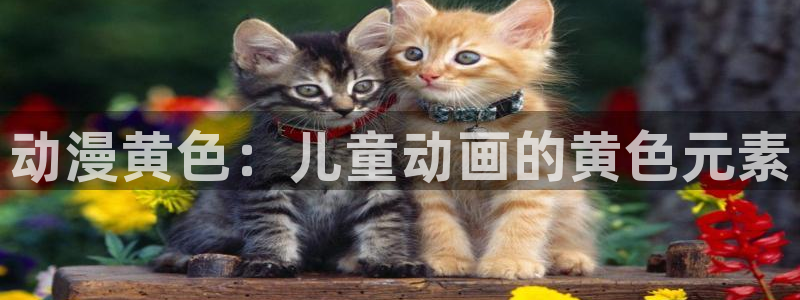 backstage韩漫免费观看