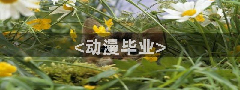 colomanage漫画官网