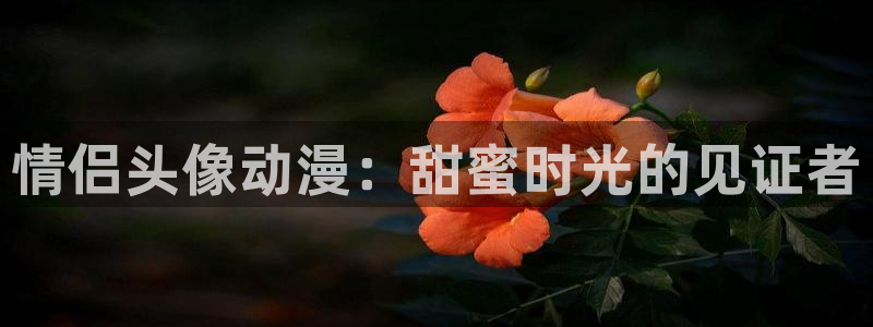 在线动画动漫下载age动漫