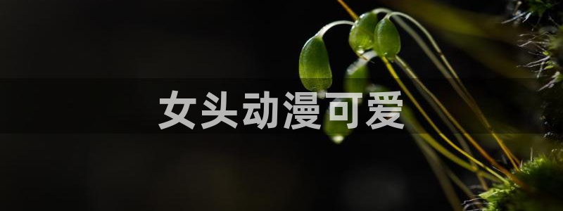 age动漫下载