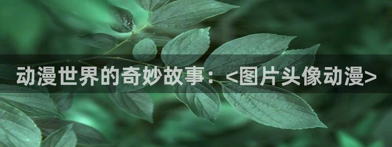 age动漫网上看