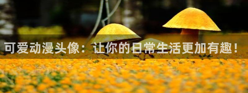 age动漫官网网址