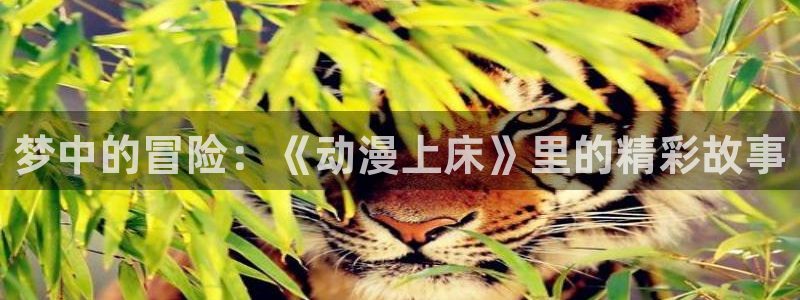 age动漫专注动漫的门户网站