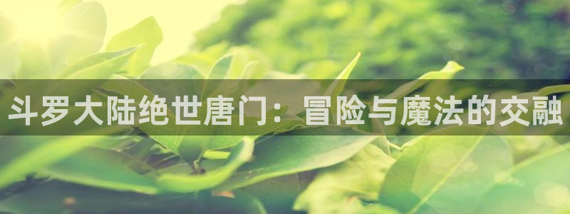 age动漫正版网