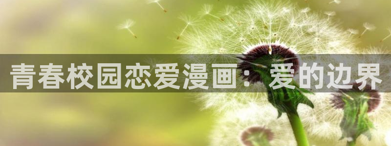 age动漫