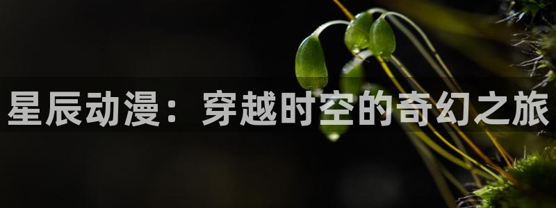 managereader漫画官网入口
