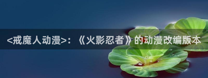 age动漫下载入口
