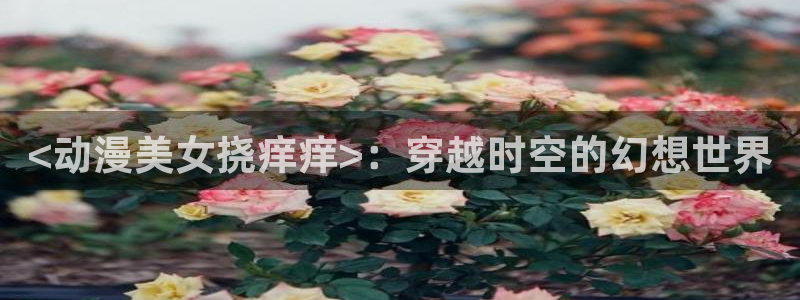 age动漫网