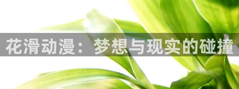 age动漫官网在线入口