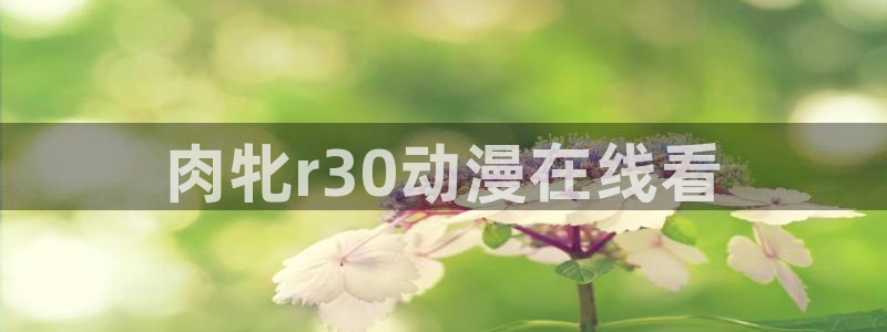 age动漫网下载：肉牝r30动漫在线看