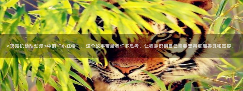 age动漫官网樱花动漫：<攻壳机动队动漫>中的“小红帽”，这个故事带给我许多思考，让我意识到自己需要变得更加善良和宽容。