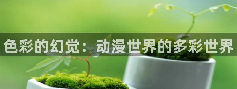 age动漫：色彩的幻觉：动漫世界的多彩世界