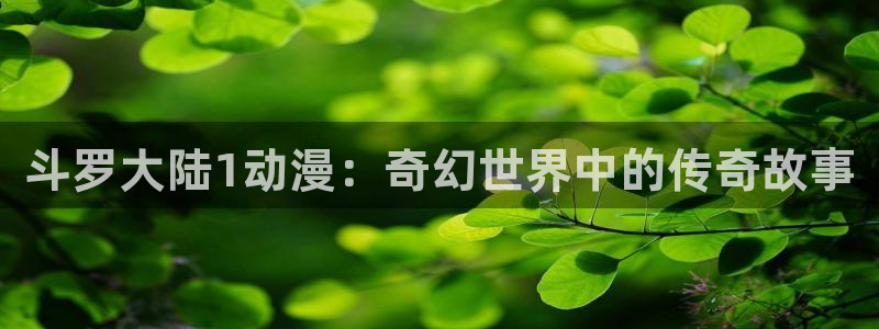 age动漫下载入口：斗罗大陆1动漫：奇幻世界中的传奇故事
