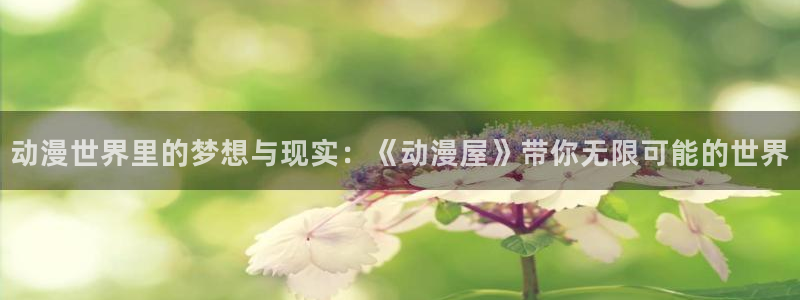 age动漫下载网