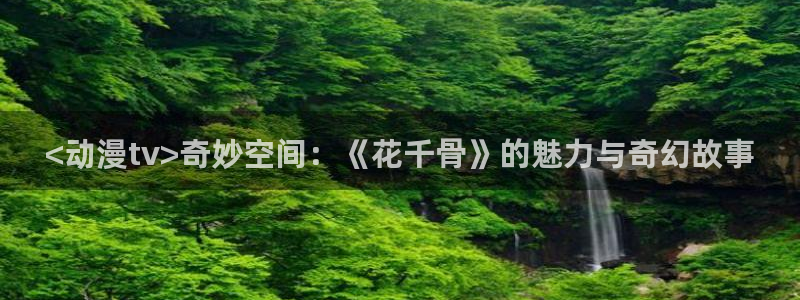age专注动漫的门户网站
