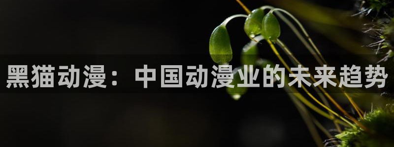 age动漫下载