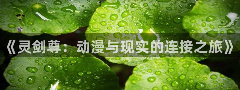 age动漫专注动漫的门户网站